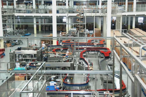 匠心鑄精品 質(zhì)量強(qiáng)佛山 九 打造美味王國,這瓶醬油不簡單