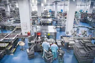 百名社長總編走進無限極新會生產(chǎn)基地受羊城晚報等全國主流媒體關注